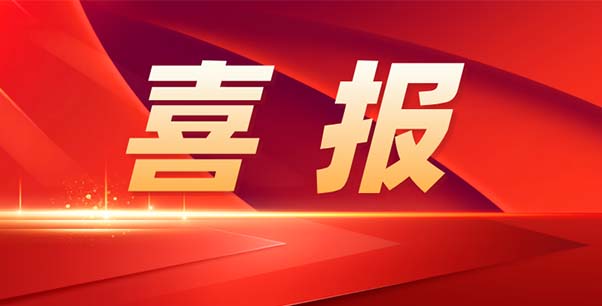 喜報(bào)！熱烈祝賀我司榮獲江蘇省“專精特新”企業(yè)稱號(hào)